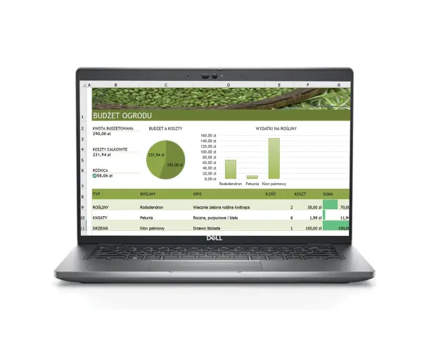 Apacer AS350X 256GB SSD